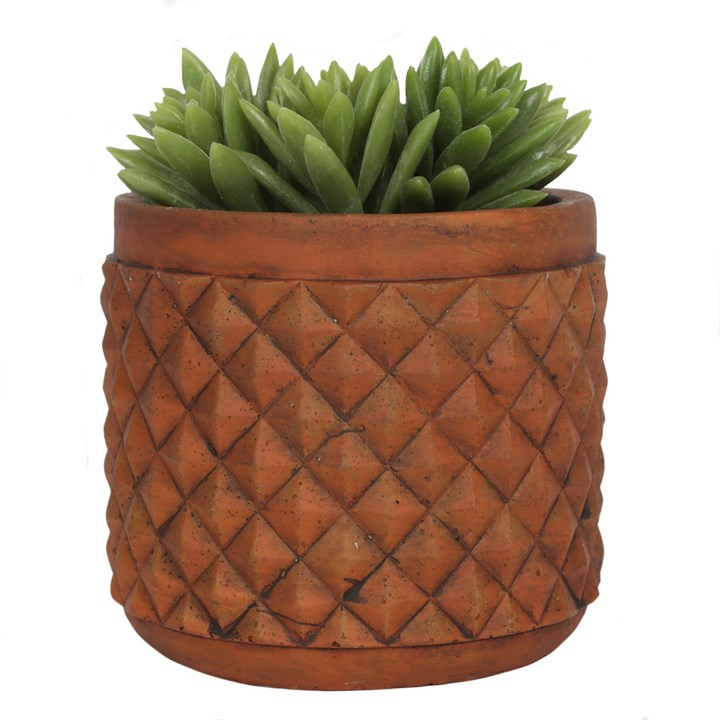 RUSTIC TERRACOTTA PLANT POT